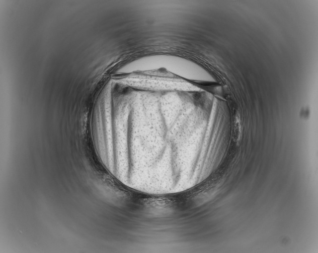 X0000089950652200707271841