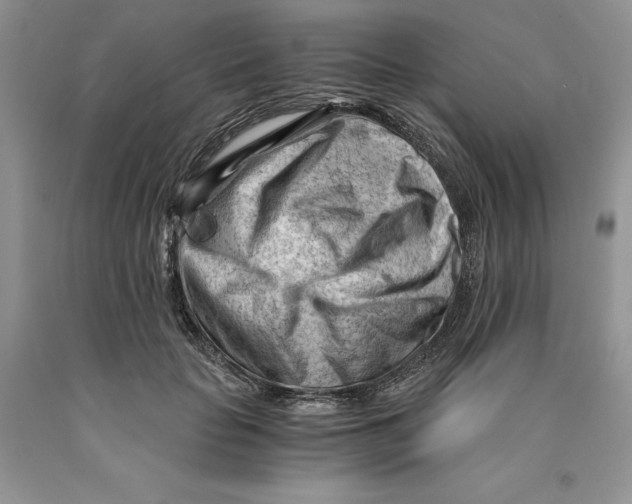 X0000089950653200707271841