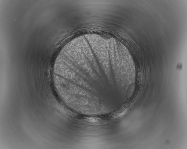 X0000089950654200707271841