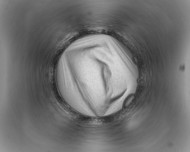 X0000089950656200707271841