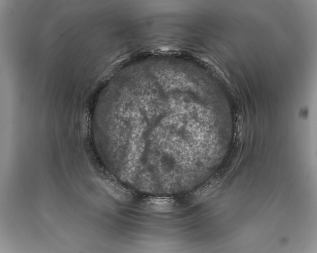 X0000089950659200707271841