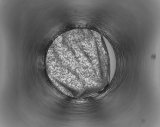 X0000089950661200707271841