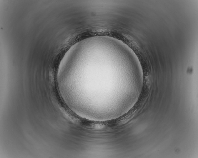 X0000089950662200707271841