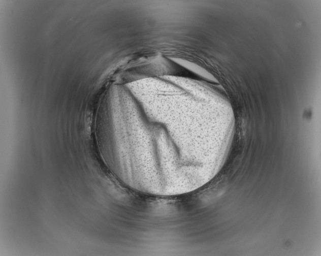 X0000089950664200707271841