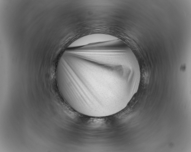 X0000089950665200707271841