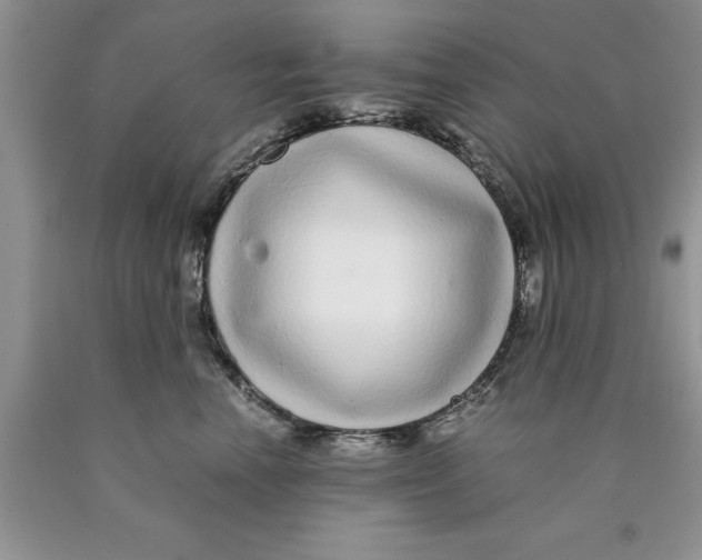 X0000089950666200707271841