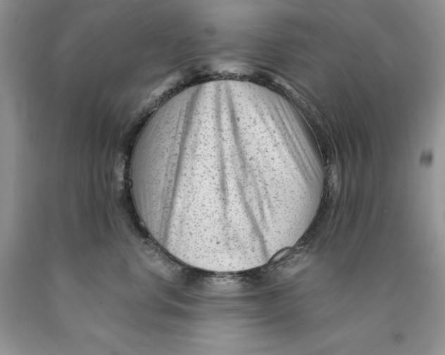 X0000089950668200707271841