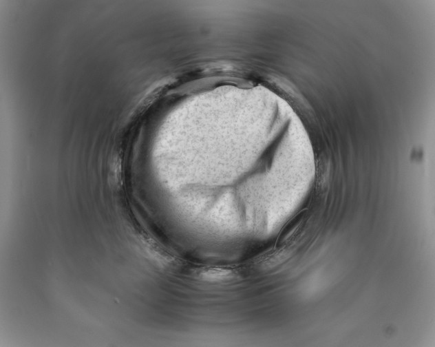 X0000089950669200707271841