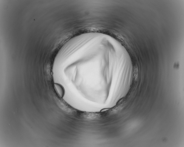 X0000089950670200707271841