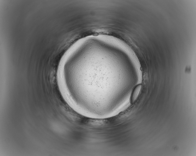 X0000089950671200707271841