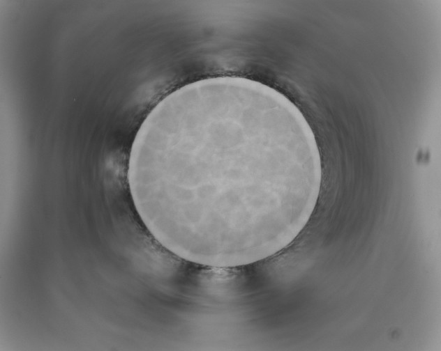 X0000089950672200707271841