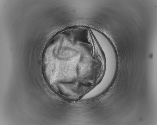 X0000089950673200707271841