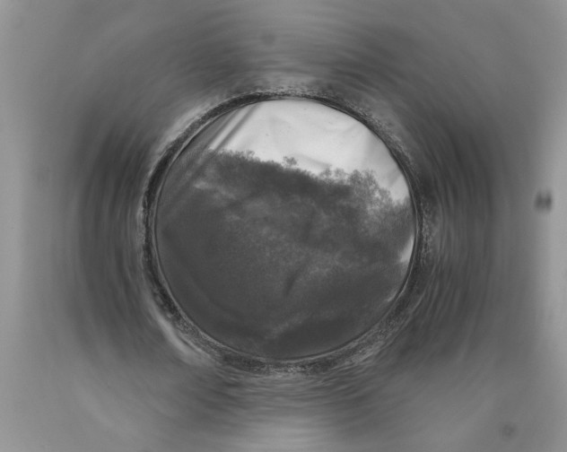 X0000089950674200707271841