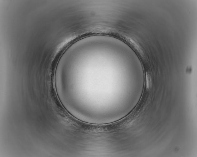 X0000089950675200707271841