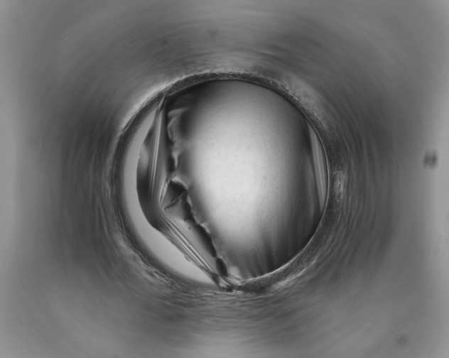 X0000089950676200707271841