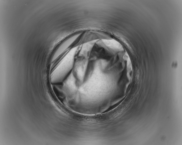 X0000089950677200707271841