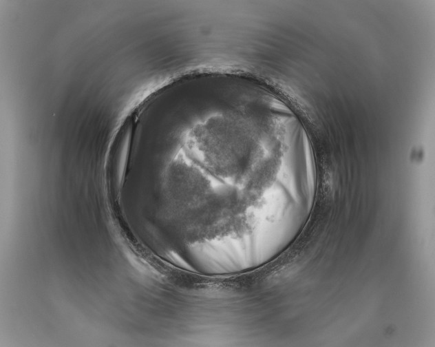 X0000089950678200707271841