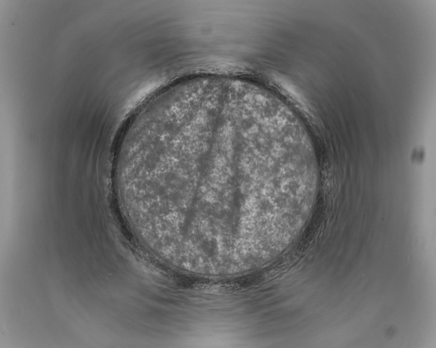 X0000089950679200707271841