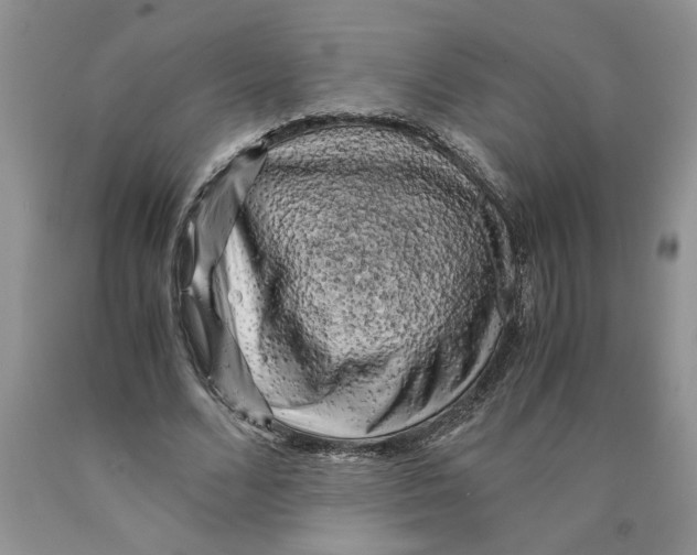 X0000089950680200707271840