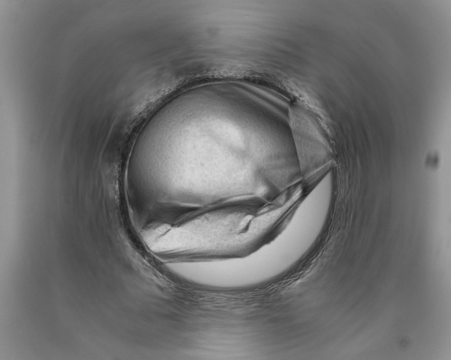 X0000089950681200707271840