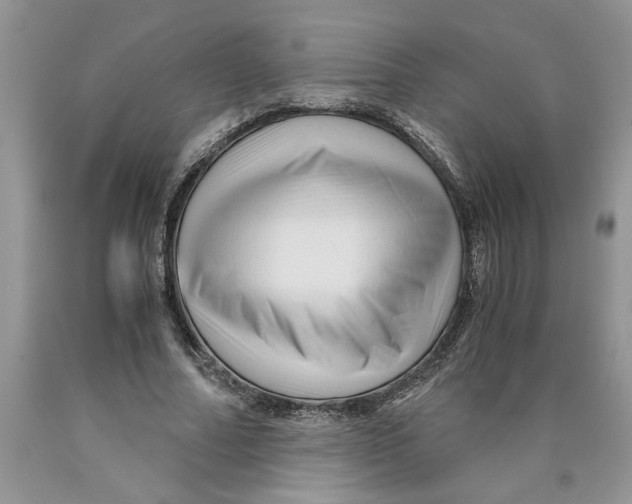 X0000089950682200707271840