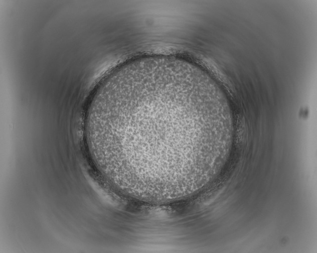 X0000089950683200707271840