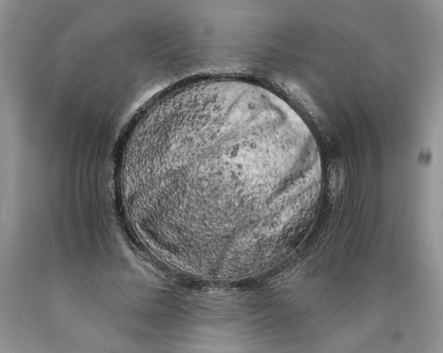 X0000089950684200707271840