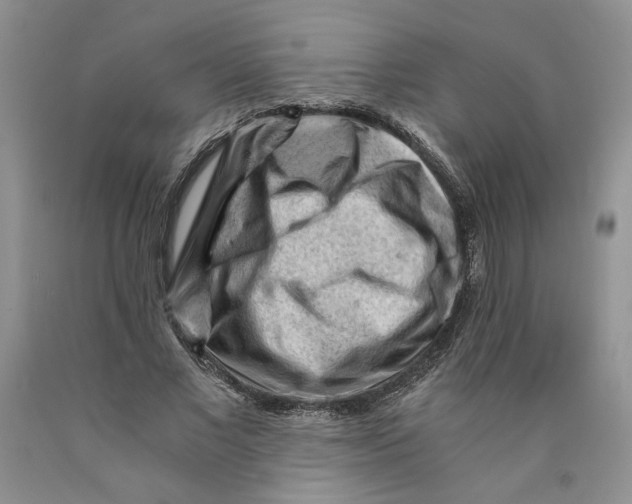 X0000089950685200707271840