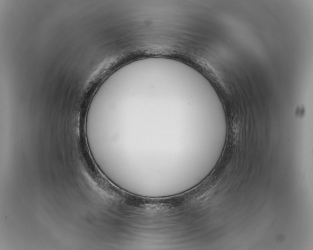 X0000089950686200707271840