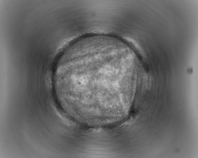 X0000089950688200707271840