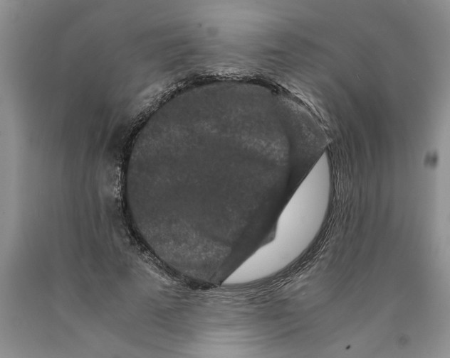 X0000089950689200707271840