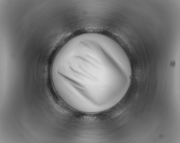 X0000089950690200707271840