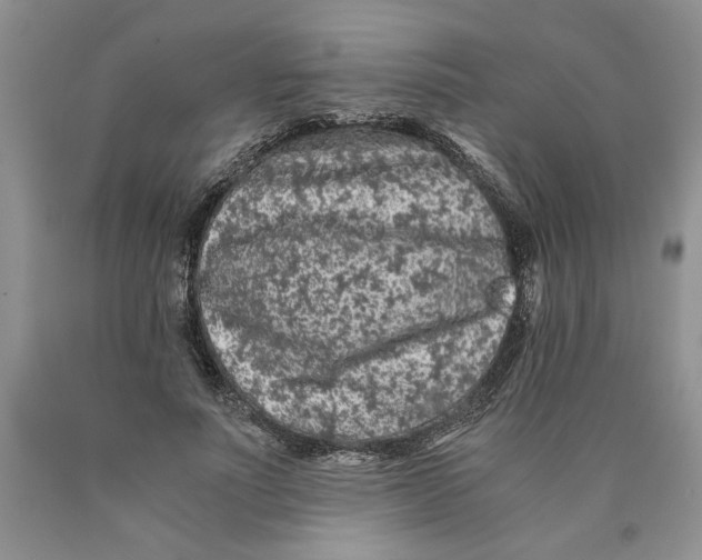 X0000089950691200707271840