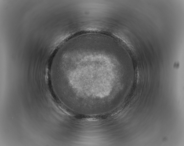 X0000089950692200707271840