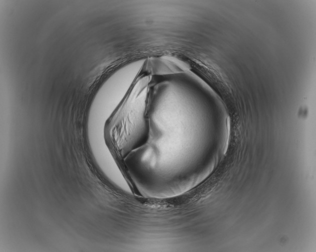 X0000089950693200707271840