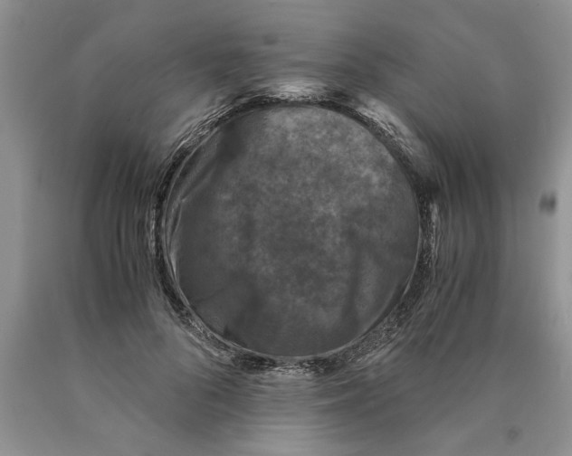 X0000089950696200707271840