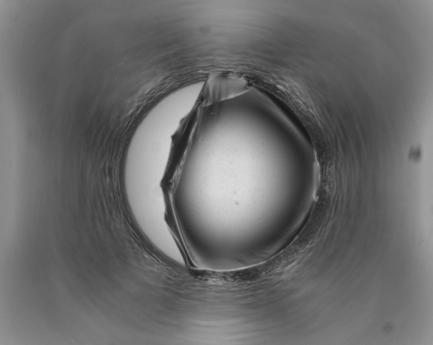 X0000089950697200707271840