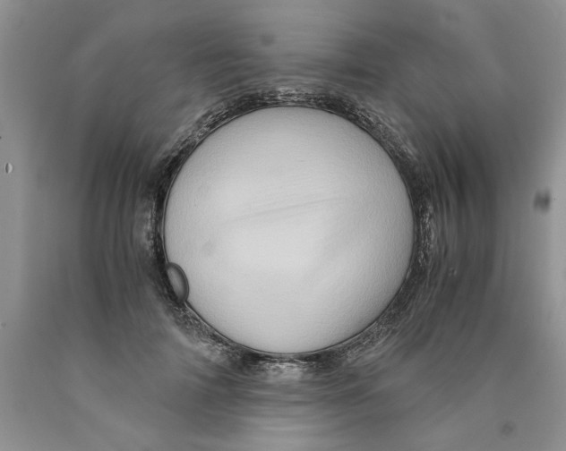 X0000089950698200707271840