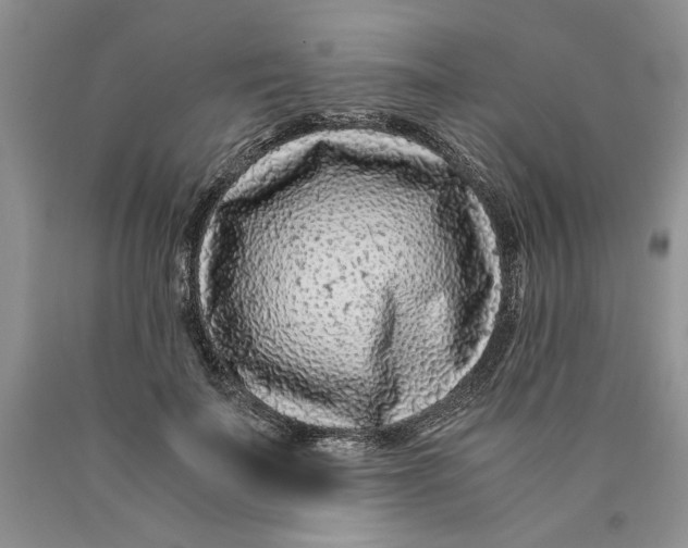 X0000089950699200707271840