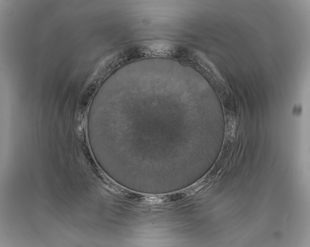 X0000089950701200707271840