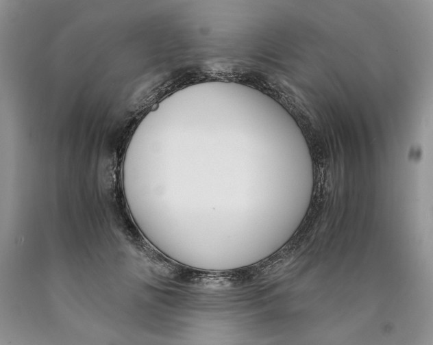 X0000089950702200707271840