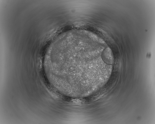 X0000089950703200707271840