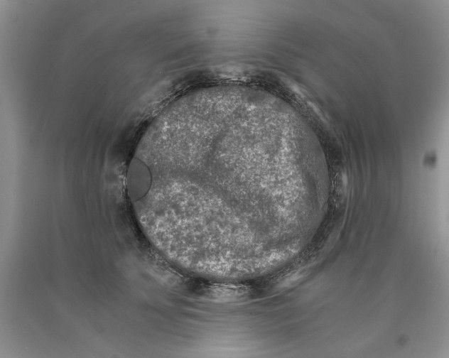 X0000089950707200707271840