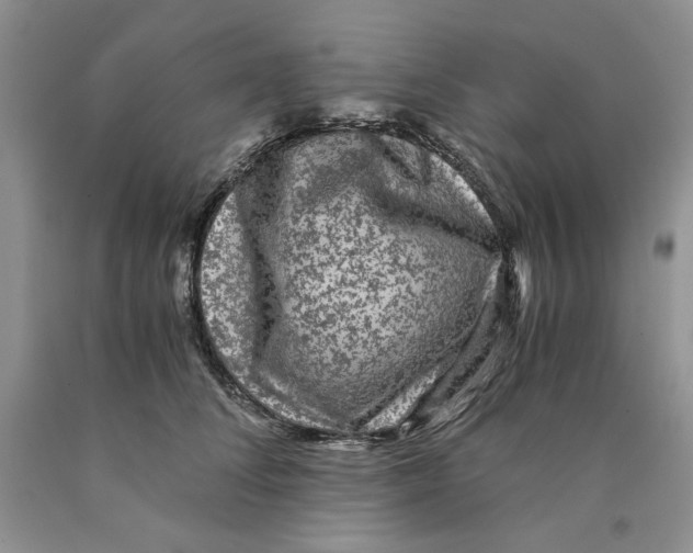 X0000089950708200707271840