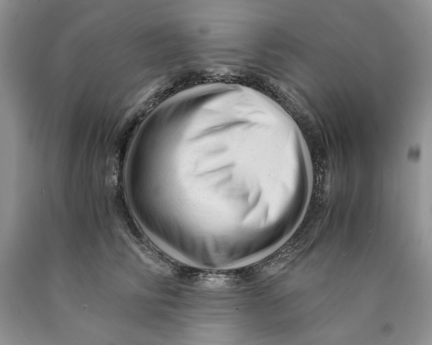 X0000089950710200707271840