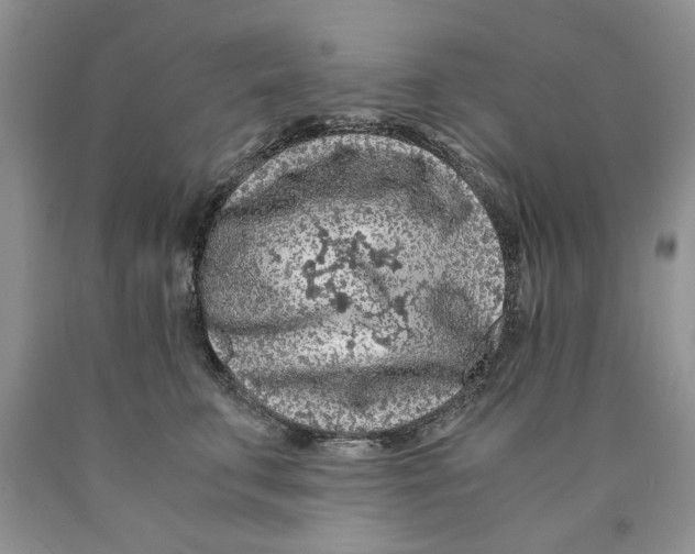 X0000089950711200707271840