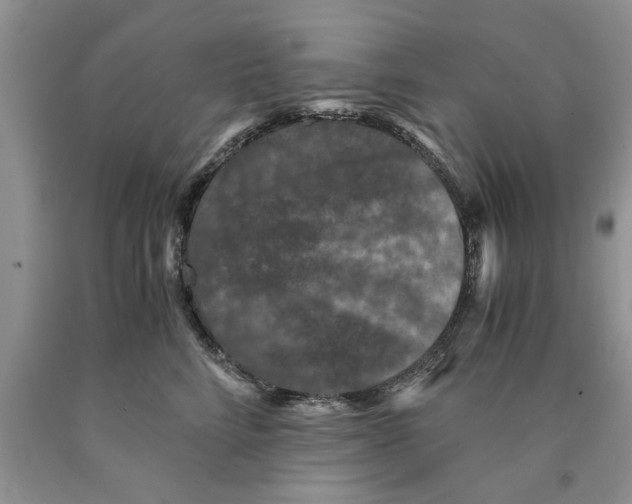 X0000089950712200707271840