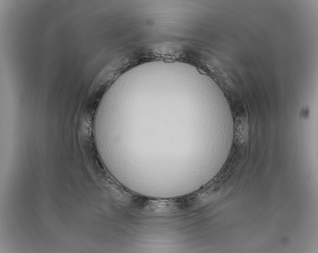 X0000089950713200707271840