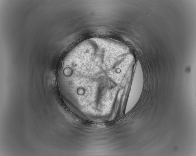 X0000089950715200707271840