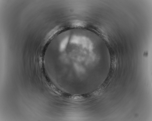 X0000089950716200707271840